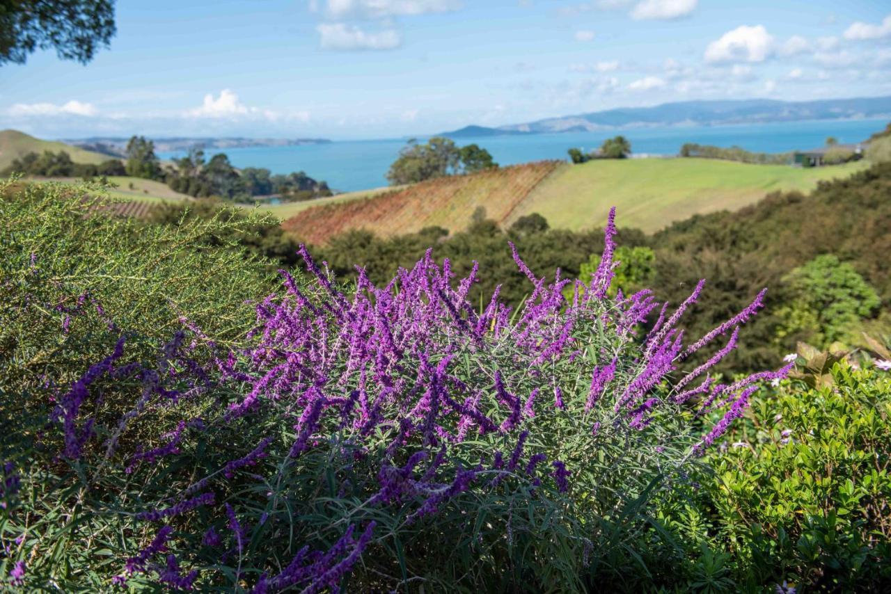 Waiheke Luxury Blue And Green Rooms Ostend Eksteriør bilde